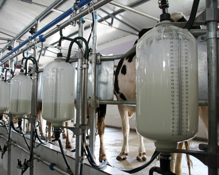 The Simulation Is Clearly Glitching Because Bird Flu Has Been Detected in Raw Milk