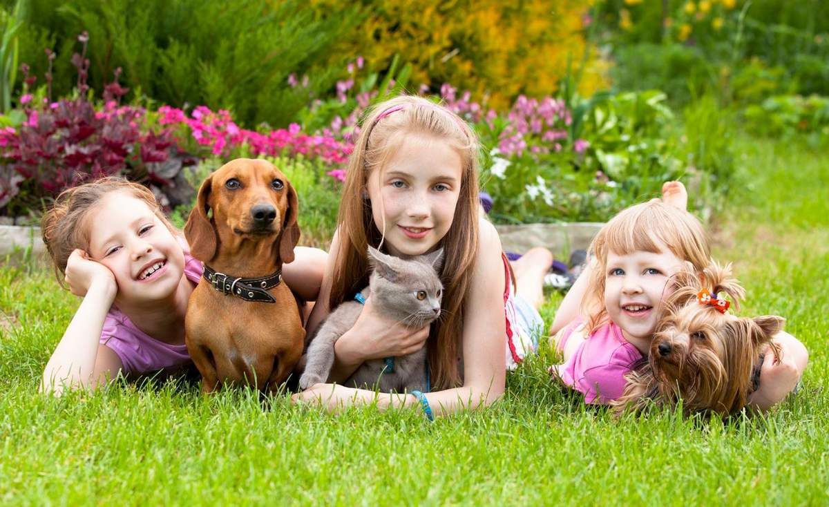 Is playing in the dirt good for kids' immune systems?