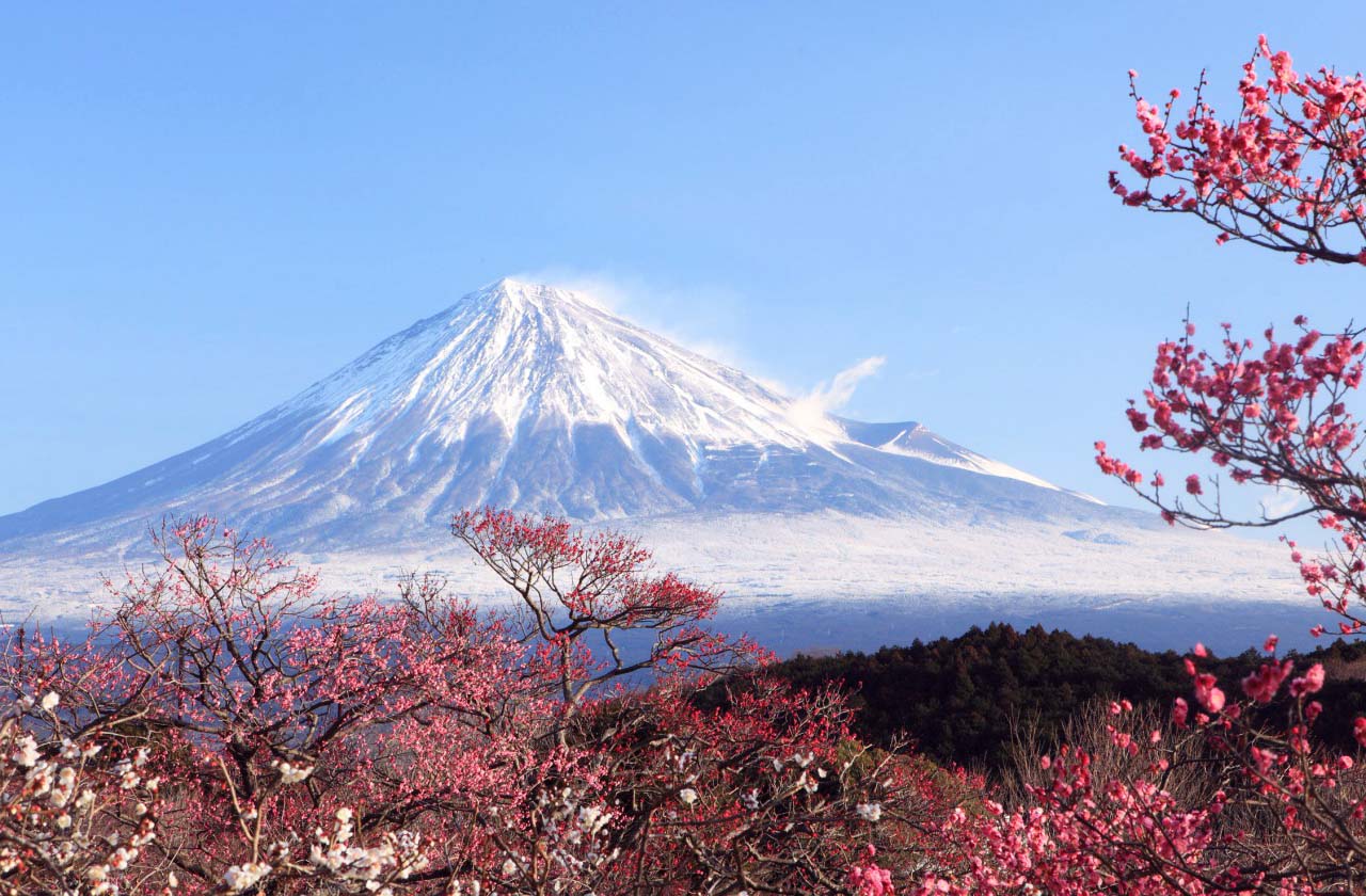 Mount Fuji Snowless For Longest Time In 130 Years