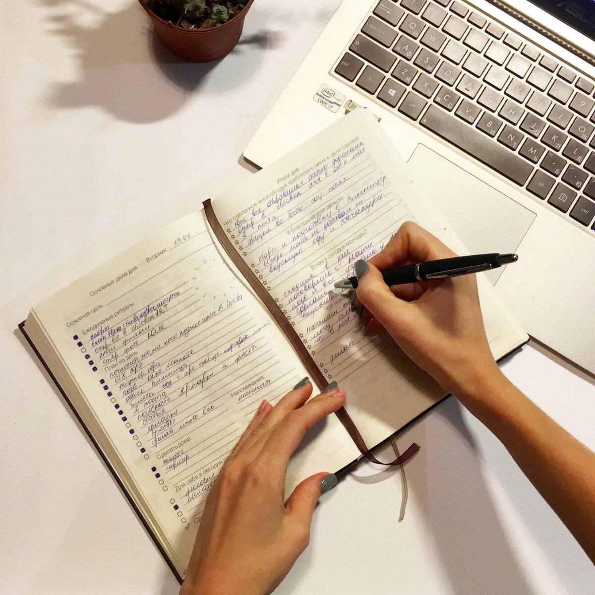 Колесо эмоций и чувств Роберта Плутчика – Как пользоваться и понимать