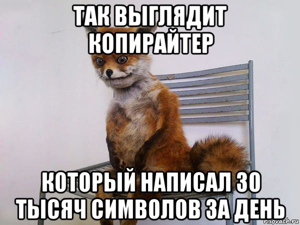 Животное дикой природы - лиса, млекопитающее и пес, рыжая лиса.