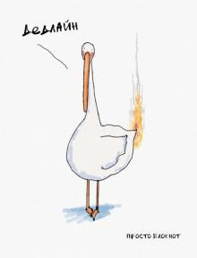 Животное-птица, водоплавающая пеликан на фоне воды.