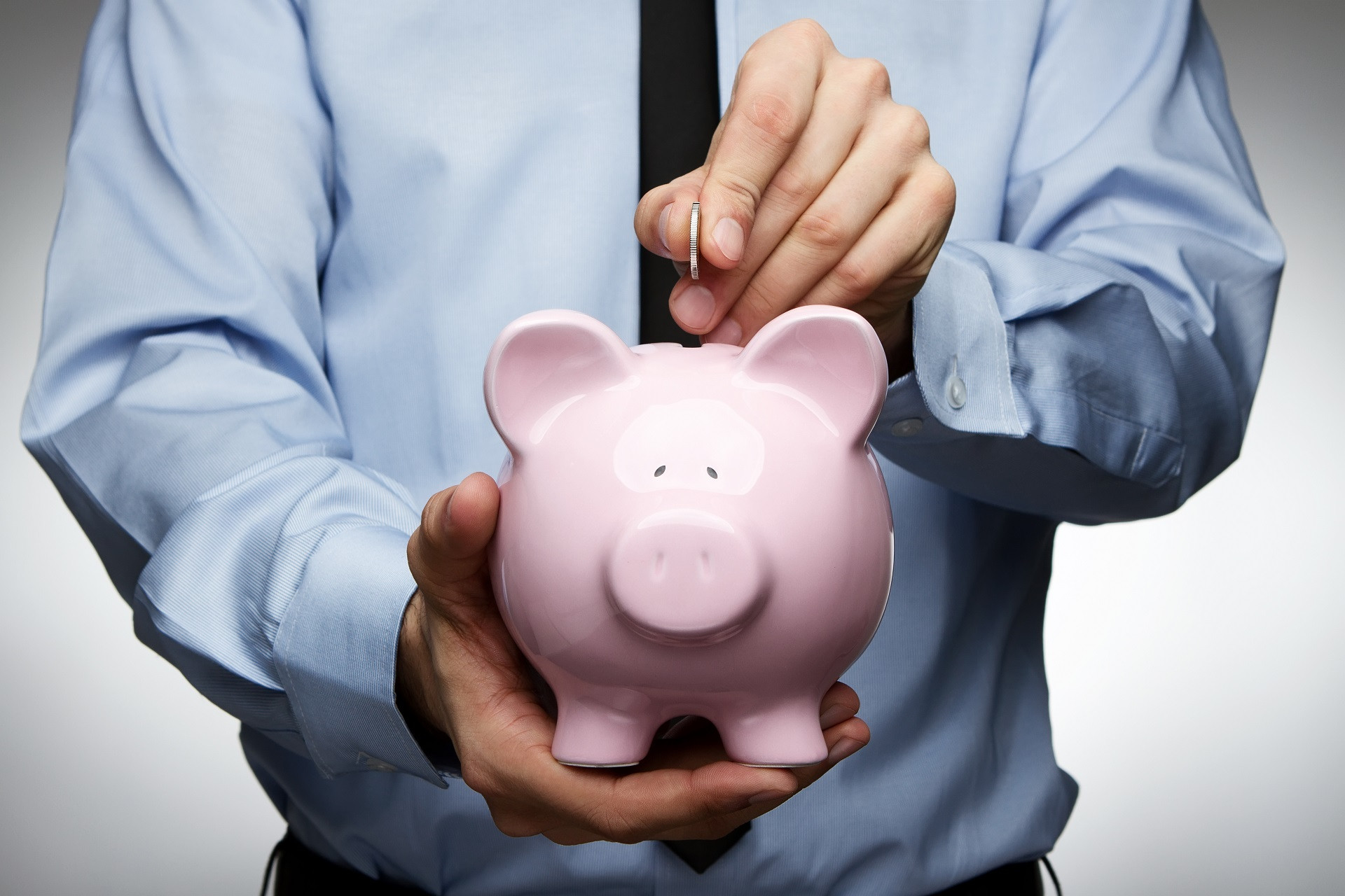 Свинья-копилка, домашнее животное, млекопитающее с позывными Пиг.