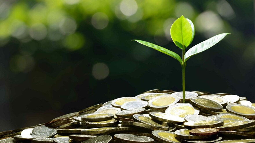 Растение с монетой и листом – символ процветания и богатства.