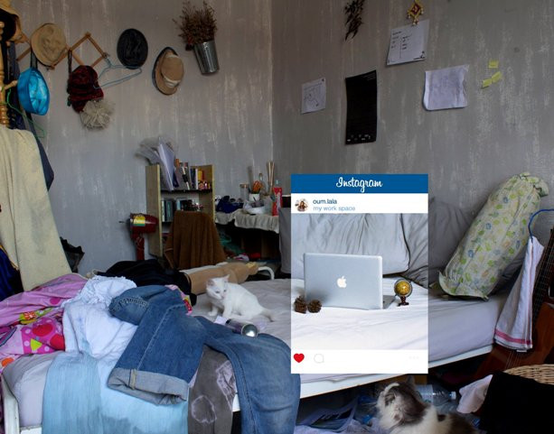 Фотография кровати в студенческой комнате с мебелью, ноутбуком и домашним котом.