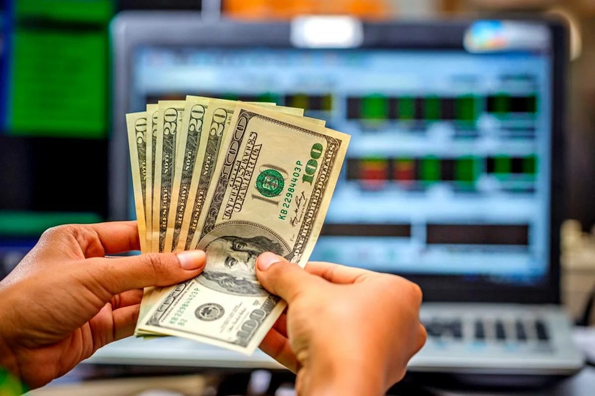 Деньги, документ, удостоверение личности, паспорт, текст.