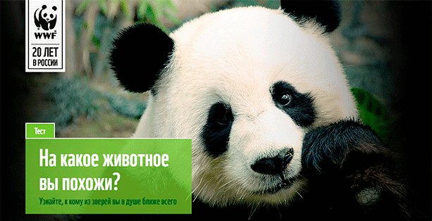 Что такое лид-магнит простыми словами: примеры и секреты создания