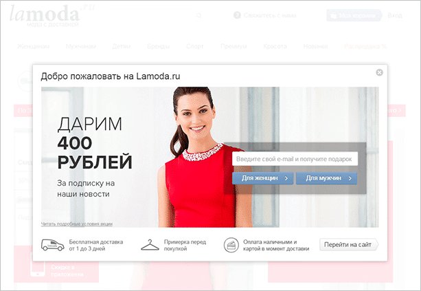 Женщина-взрослая персона в блузке читает текст на файле.