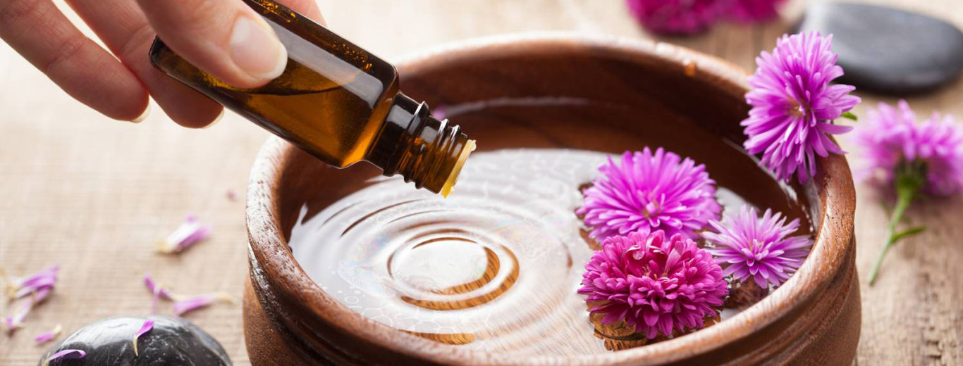 "Представление еды с травами: красивое блюдо с растениями и травами."