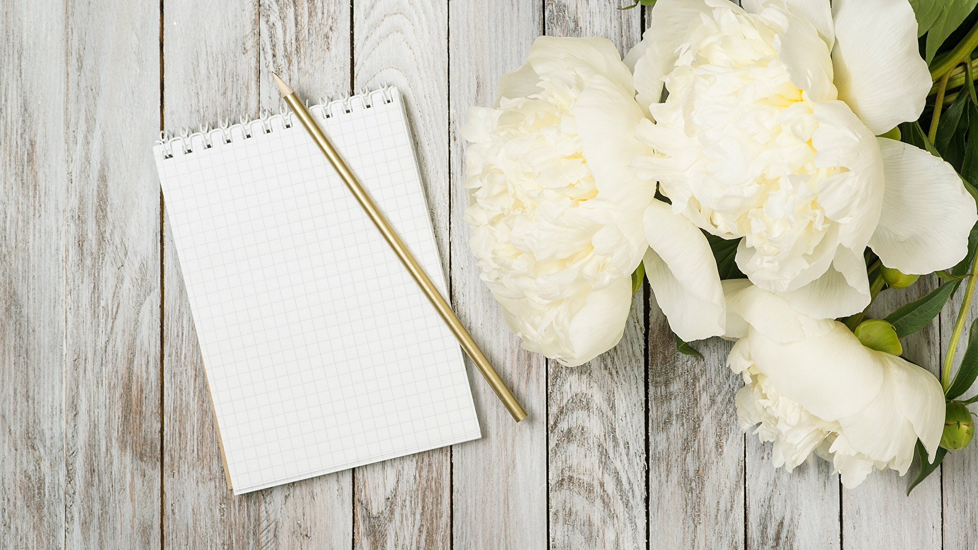 Изображение страницы с текстом, цветок розы на палке. SEO-оптимизация с ключевыми словами.