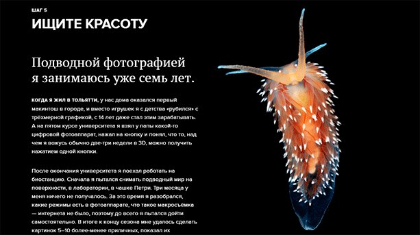 Животное-птица в воде: акватическая природа водоплавающего животного.