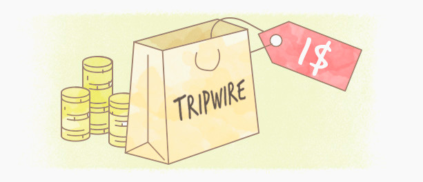 Сумка с текстом - стильное аксессуарное изображение.