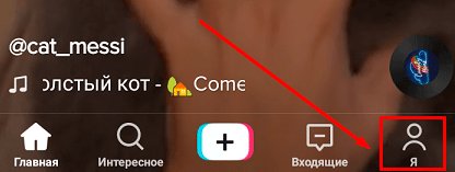 Что такое TikTok, для чего он нужен и почему так популярен