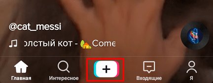 Что такое TikTok, для чего он нужен и почему так популярен