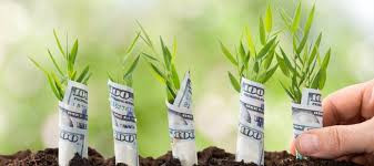 Человек сажает растение в почву - оптимизированный текст для изображения.