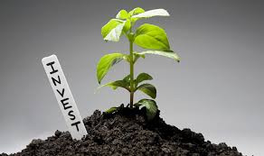 Почва, лист, растение, росток - изображение природы с различными элементами.