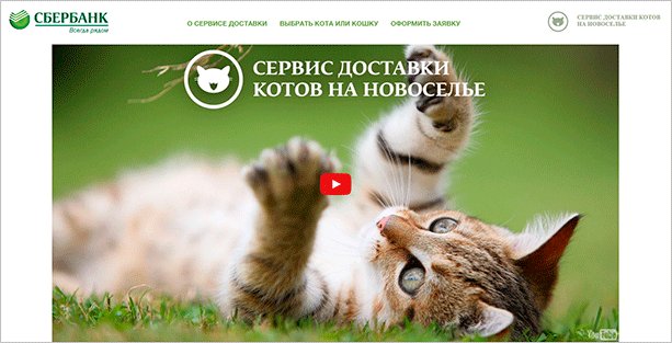 Что такое вирусный маркетинг, как его создать и использовать для продвижения