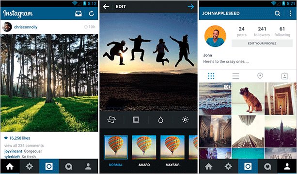 Человек собирается фотографировать своего домашнего питомца смартфоном на фоне файла.