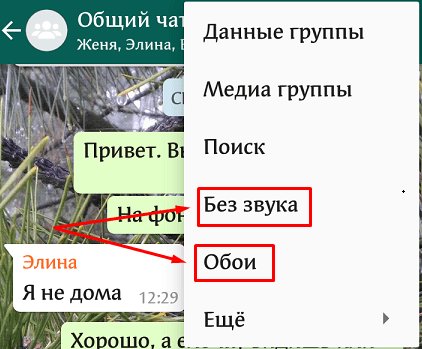 Растительность и трава на фоне деревьев в дождевом лесу.