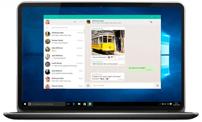 WhatsApp для компьютера: как скачать, установить и использовать