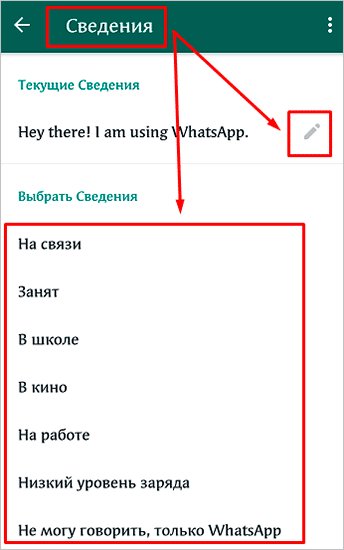WhatsApp: что это такое, как установить и пользоваться им на телефоне