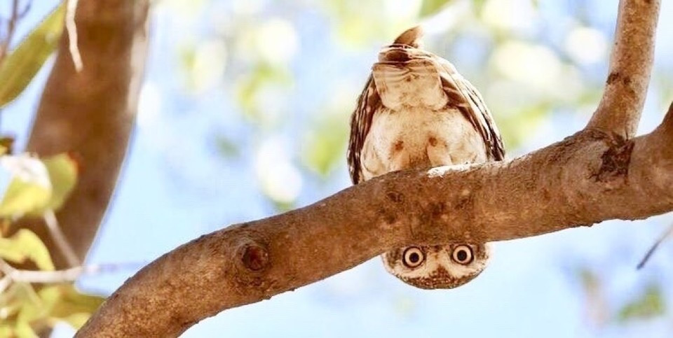 GET RICH OR DIE TRYIN