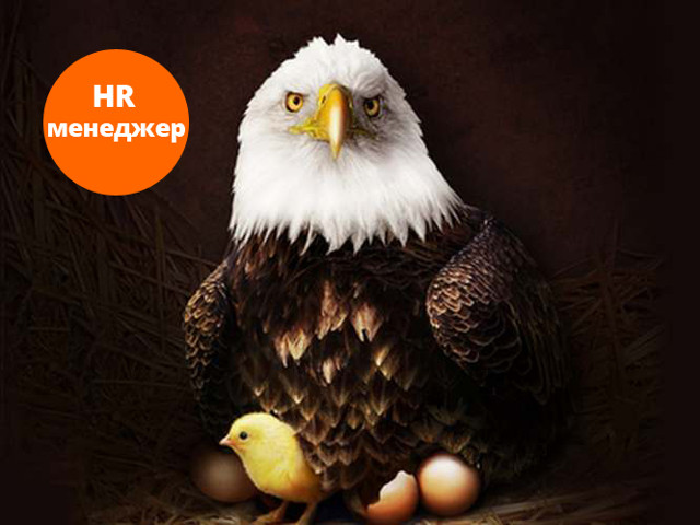 HR-менеджер – кто это такой, какие у него обязанности и как им стать
