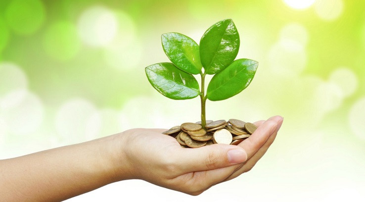 Лист растения с травяными таблетками на фоне. Натуральные лекарственные травы.