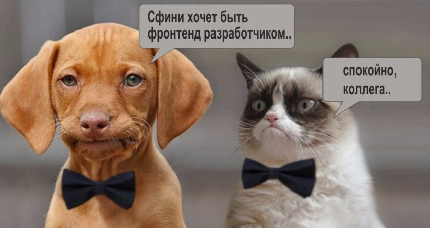 Аксессуары для офисной одежды: галстук с бабочкой для собаки и кошки.