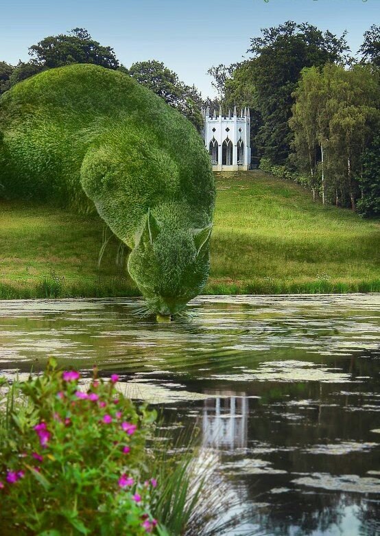 Зеленая трава на берегу пруда с мхом в парке - живописный пейзаж.