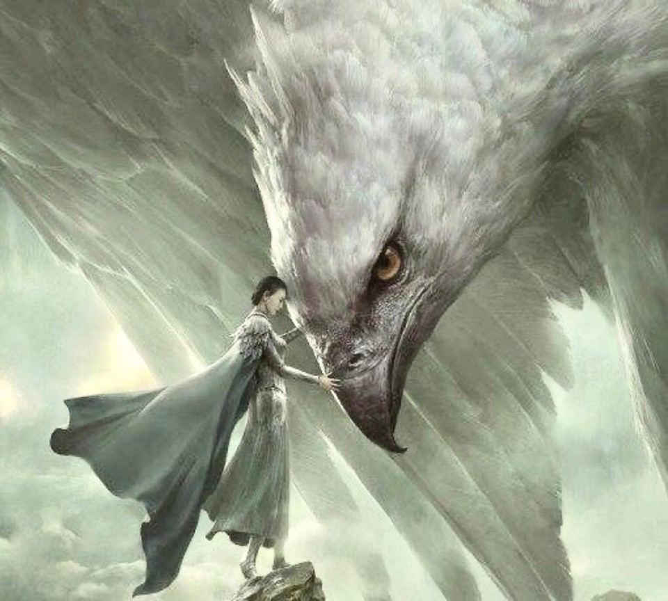 Кто такой графический дизайнер и чем он занимается