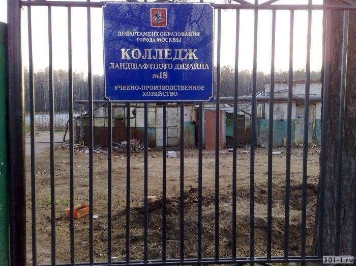 Ворота с металлическими решетками на фоне оранжевой стены - идеальный выбор для вашего двора.