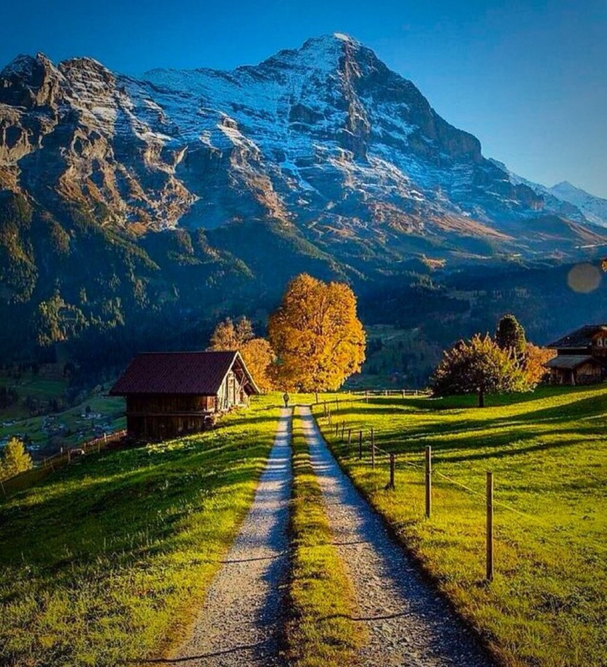 "Autumn house in rural countryside showcasing nature, architecture, and scenic outdoors."