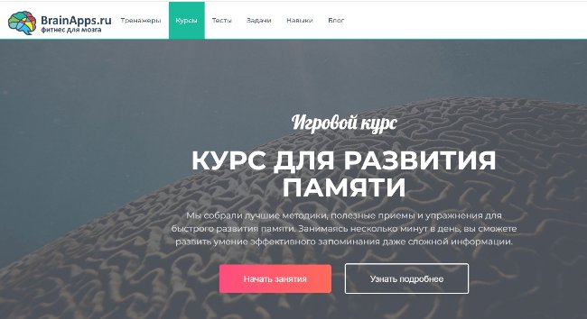 Природа, море, животные кораллового рифа, жизнь моря, амфора коралла.