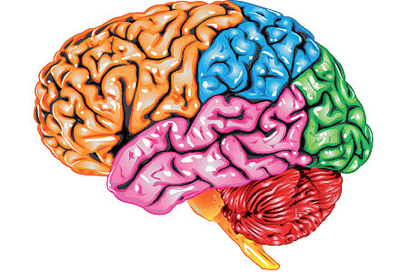 Художественная работа морской жизни на рифе: изображение животных в природной среде.