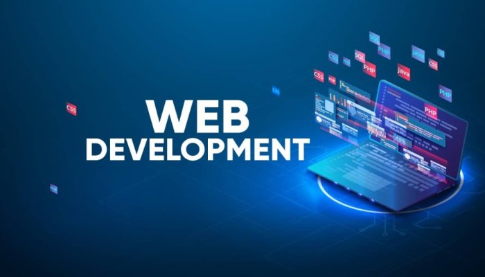 Why You Should Take Up a Web Development Course