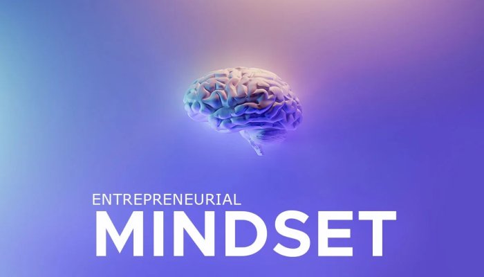 Entrepreneurial Mindset: 11 Powerful Traits of a Successful Entrepreneur
