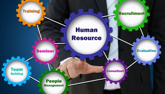 What are the Top Roles of Human Resource Management?