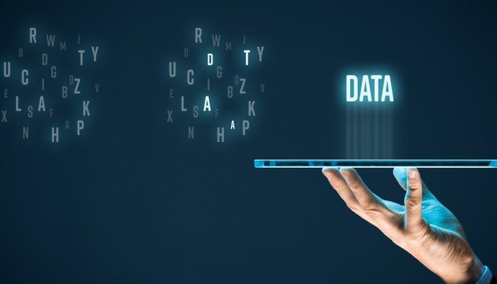 Are Your Data Quality Enough to Support Machine Learning/AI Plans?