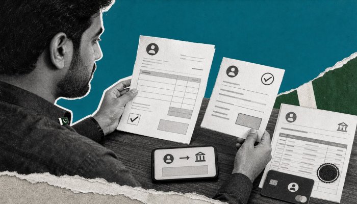 پاکستان میں Stripe اور PayPal نہیں، international payment قانونی طور پر کیسے لیں؟