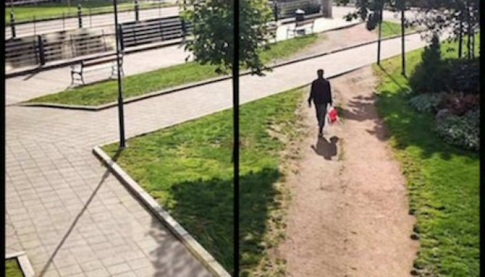 Cамые популярные профессии в интернете в 2025 году.