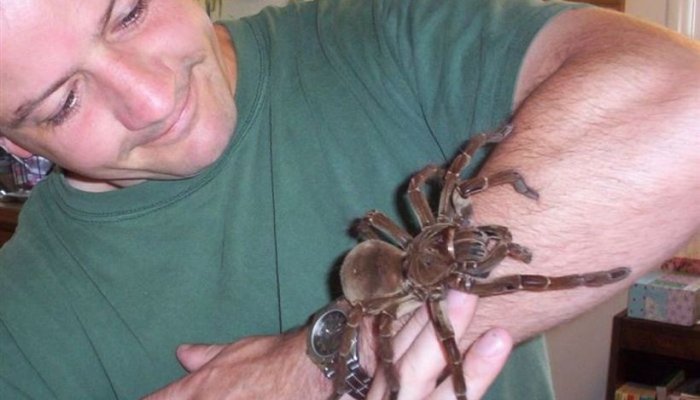 Scientists Use AR to Make Arachnophobes See Huge Spiders