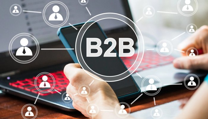 Choosing a B2B Wholesale Marketplace Solution
