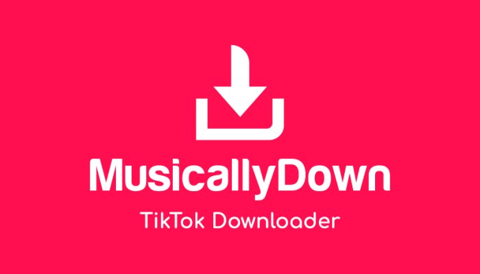 Musicallydown Tiktok MP3 Downloader