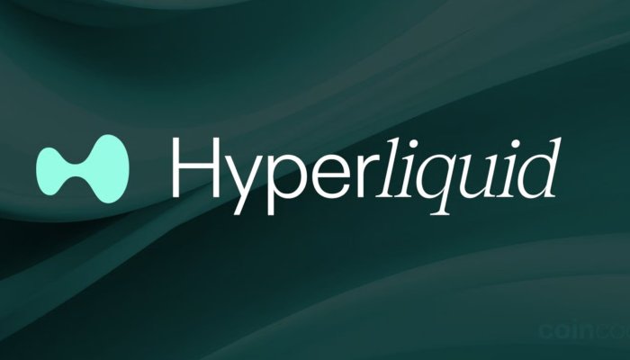 Hyperliquid.app - Rising Star in Crypto Derivatives
