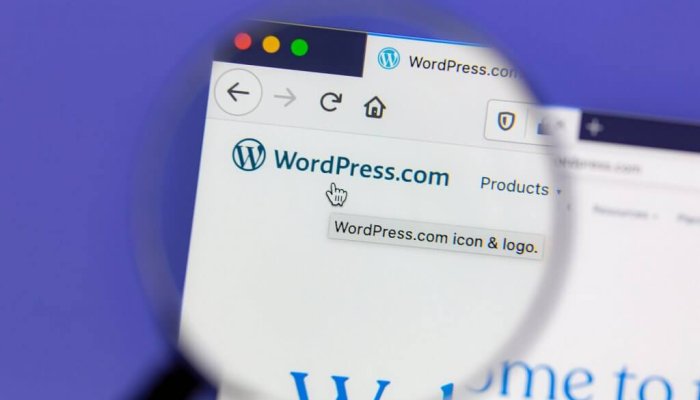 How To Get Start PPC In WordPress Website