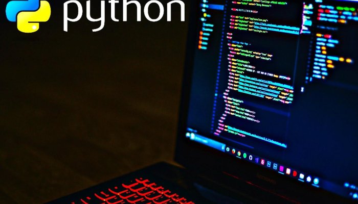 Язык программирования Python: применение, особенности и перспективы