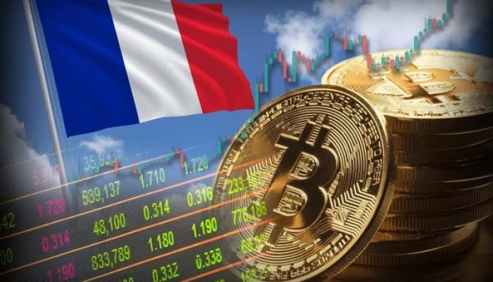French Parliament to Consider Bill on State Bitcoin Reserve