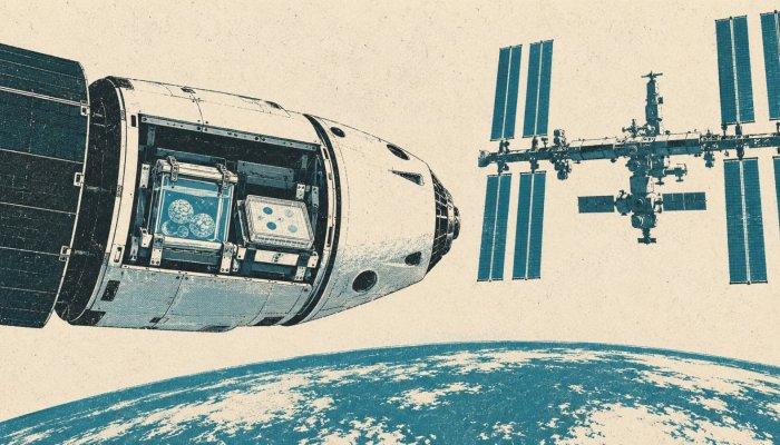 CRS-35 Packs Brain Models and Superbugs for the ISS