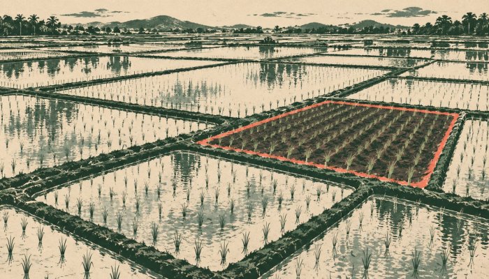 CarbonFarm lève 7 M€ : la mesure du méthane doit maintenant changer d’échelle